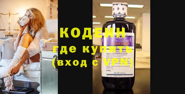 шишки Белокуриха