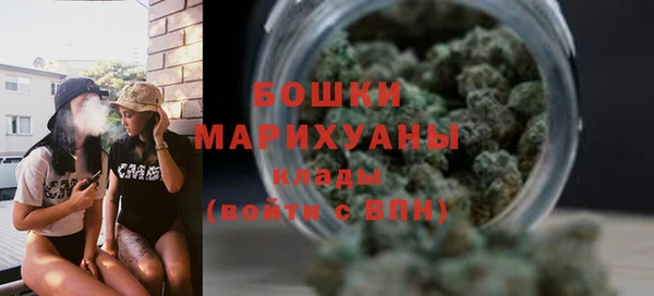 шишки Белокуриха