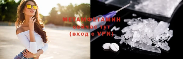 шишки Белокуриха