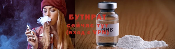 шишки Белокуриха
