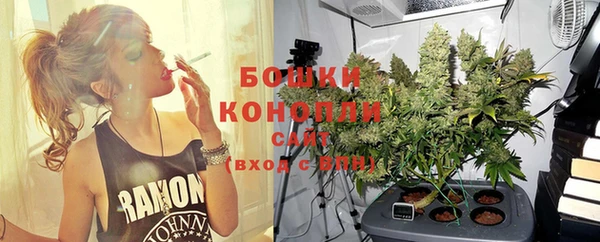 шишки Белокуриха