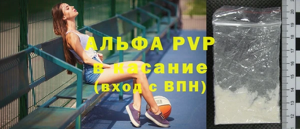 шишки Белокуриха