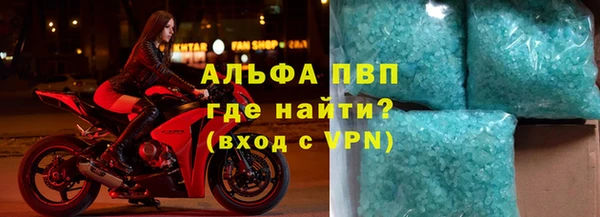 шишки Белокуриха