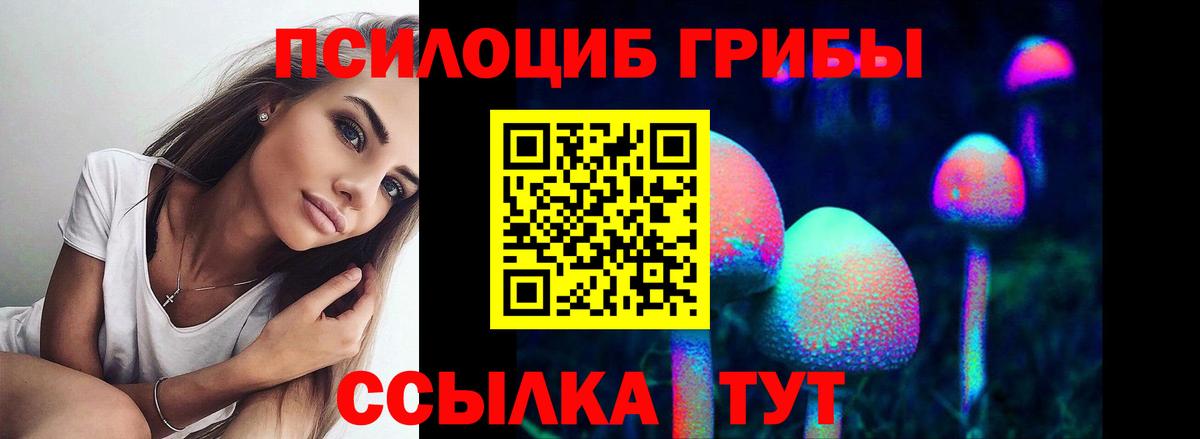 Кувандык  Галлюциногенные грибы Psilocybe  Галлюциногенные грибы Psilocybe  Вход с VPN 